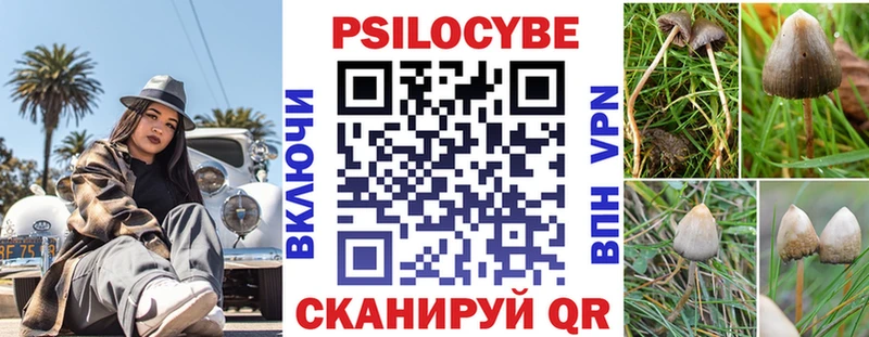 Галлюциногенные грибы GOLDEN TEACHER  Купить  Агидель 